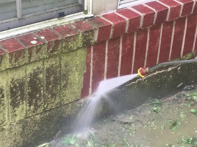 Stone and Brick Cleaning